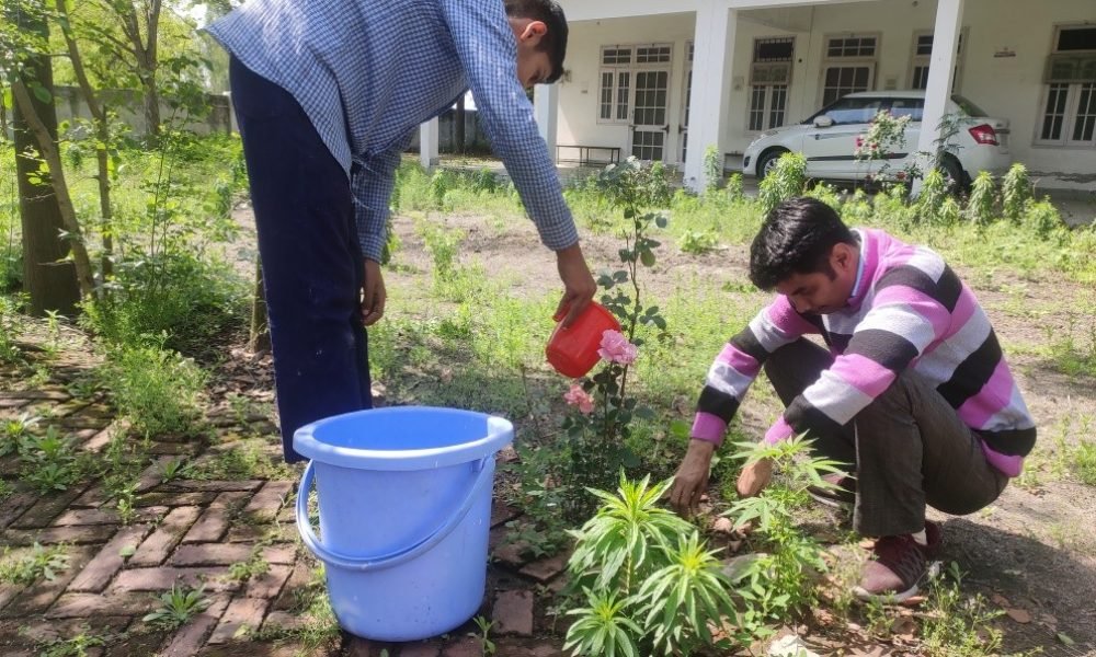 Gardening
