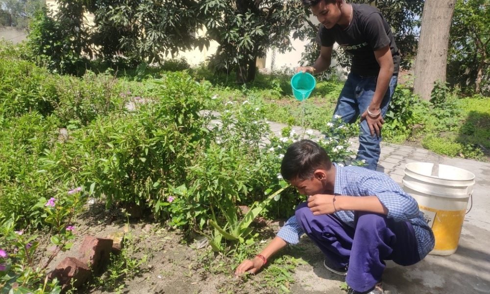 Gardening